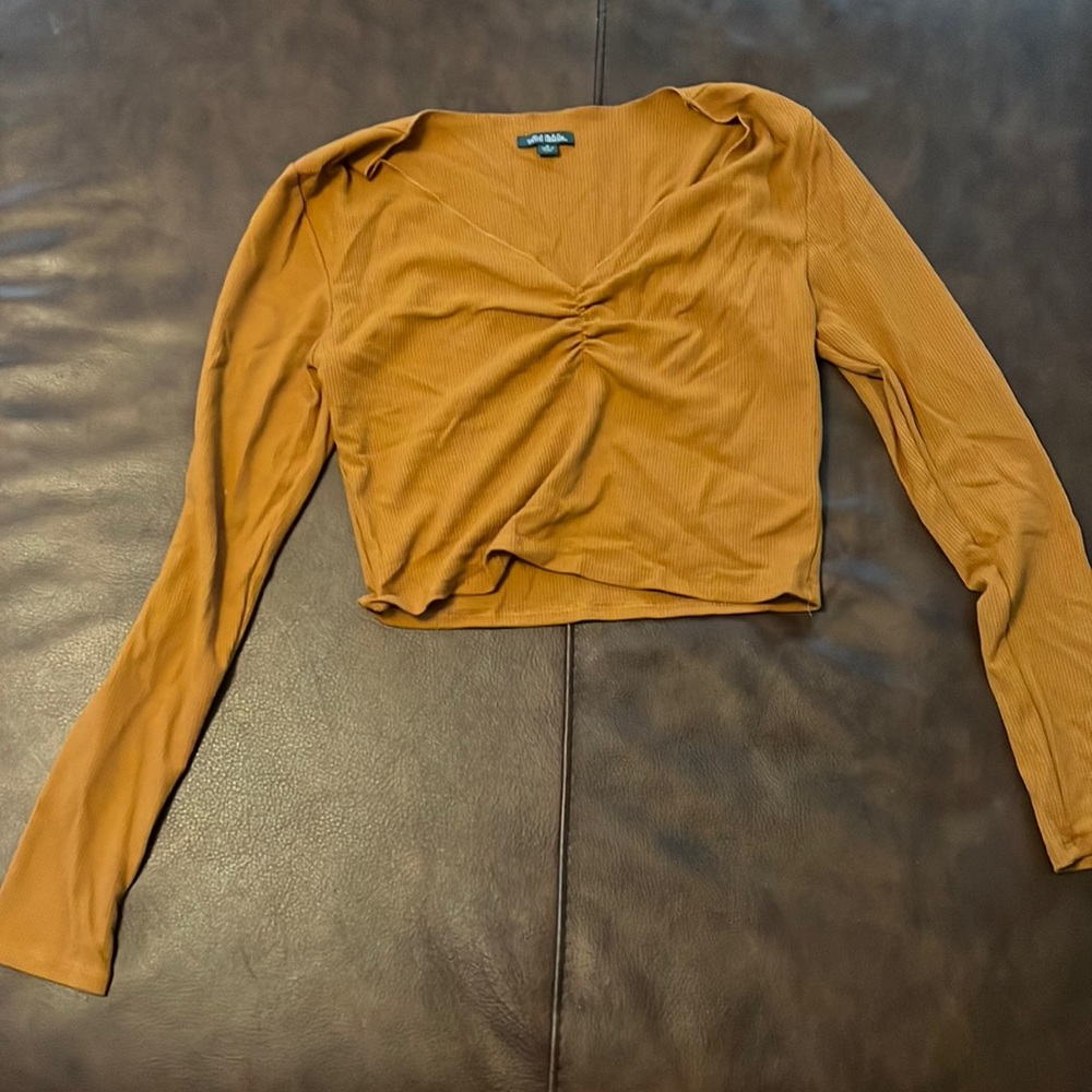 Target burnt orange long sleeve crop top